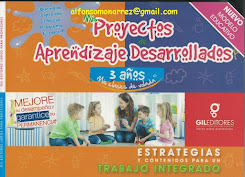 PROYECTOS DE