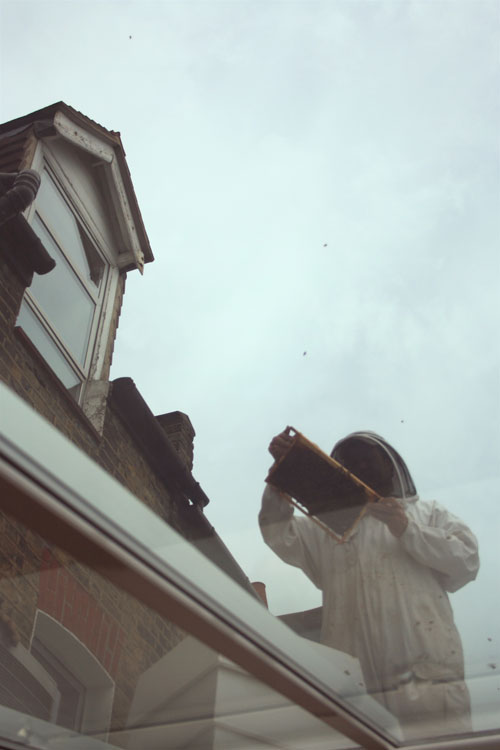 Urban London Roof Top Beekeeping!