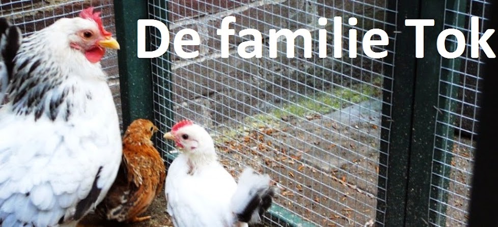 De familie Tok