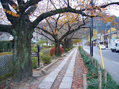 京都市左京区・哲学の道の紅葉
