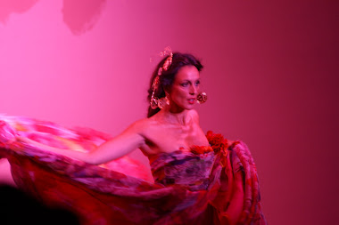 Pasarela cibeles 2011