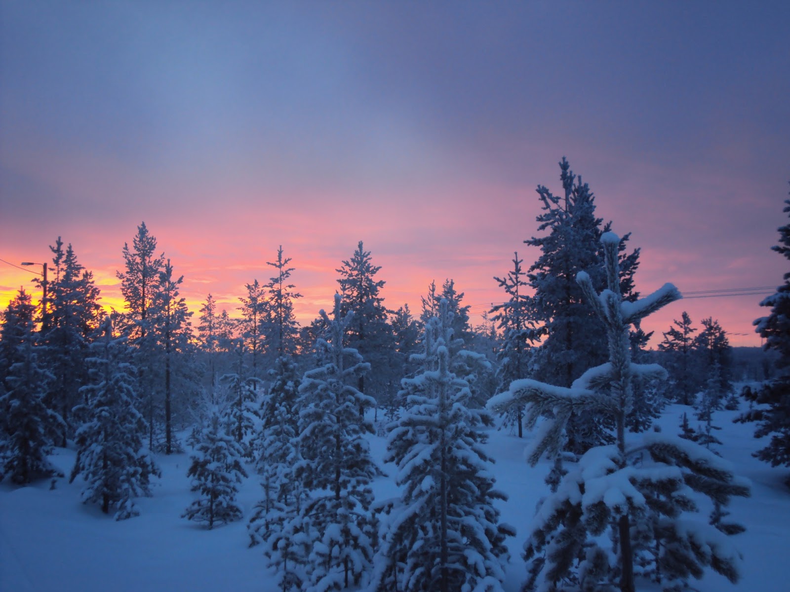 Life and lizzyâ¡: droombestemming: het wintersprookje lapland