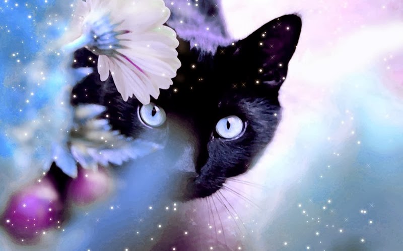 صور كلمات جميلة جدا من الفيس بوك 2014 - صور حلوة من الفيس بوك beautiful