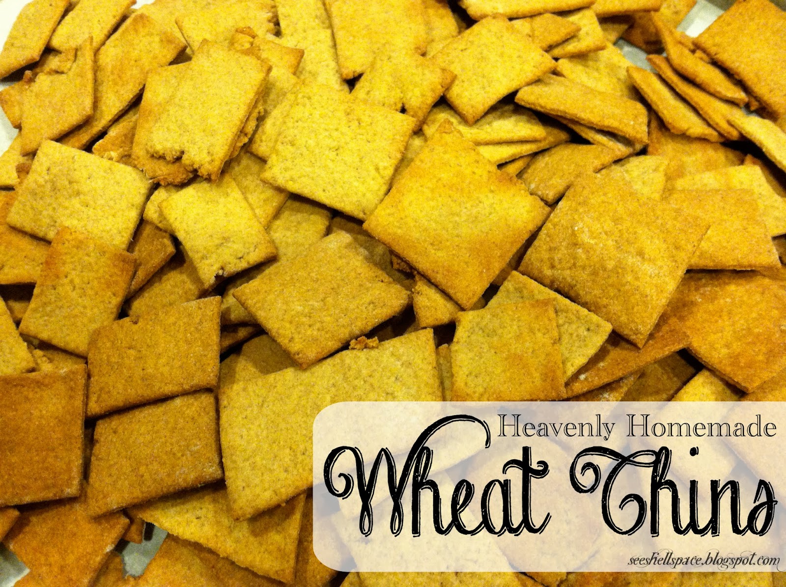 seeshellspace Heavenly Homemade Wheat Thins with Milk Kefir