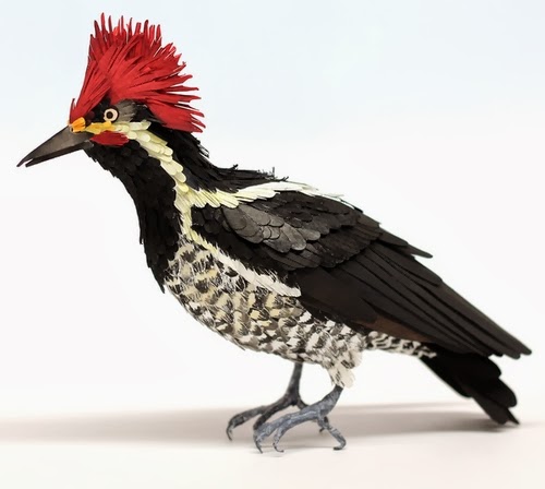 10-Lineated-Woodpecker-Paper-Bird-Sculptures-Colombian-Artist-Diana-Beltran-Herrera-www-designstack-co