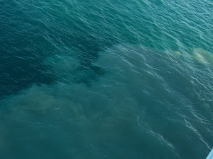 Shallow Seas off the Belize coast