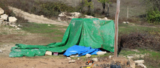 Drying in the warm afternoon sun Drying in the warm afternoon sun