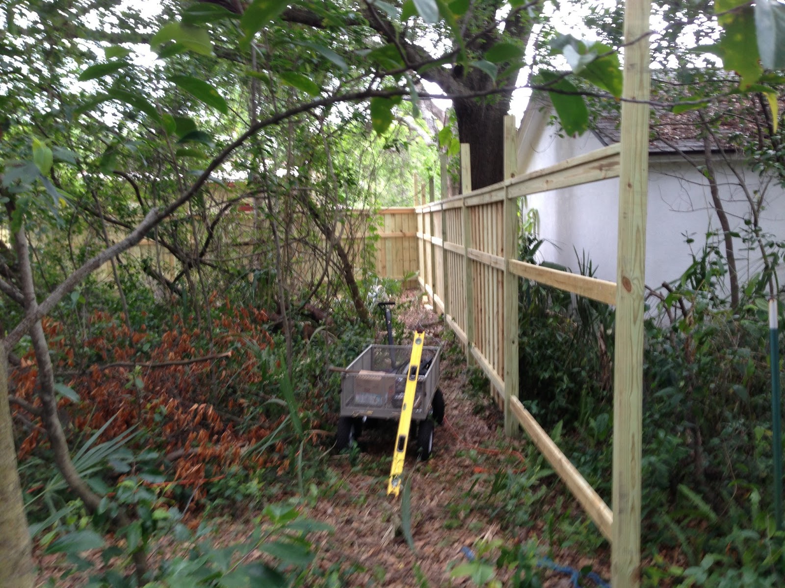 Fred Can Do It Fencing a Straight Line