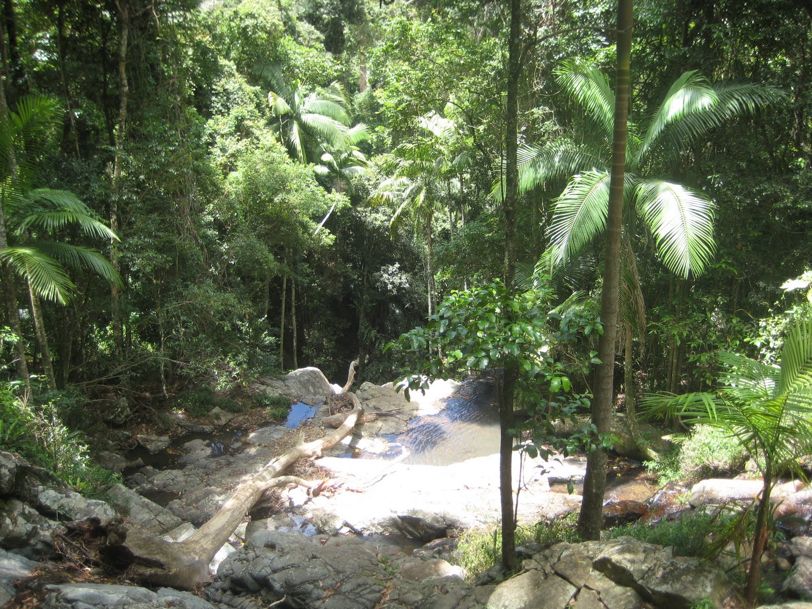 Mount Glorious Alchetron, The Free Social Encyclopedia