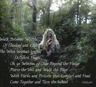 Hedgewitch