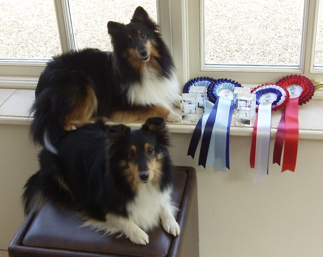 Zaz and Itz this year.