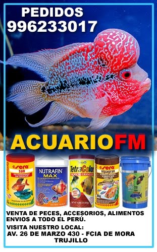 Acuario FM [ Peces, Accesorios, Acuarios, Alimento, Tutoriales ]