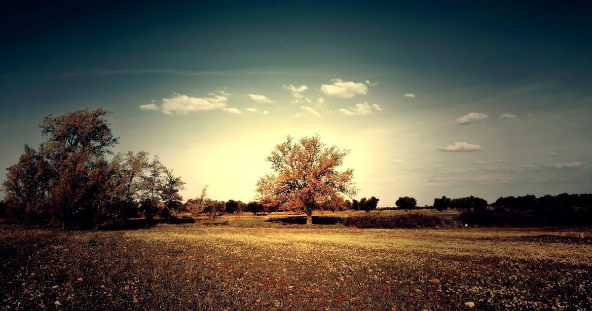 HD Wallpapers News: HD Wallpapers 1920x1080 for Desktop