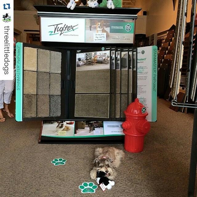 carpet fredericksburg va C&R carpet and rugs