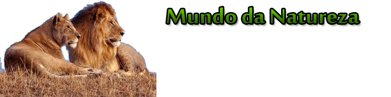 Mundo natureza