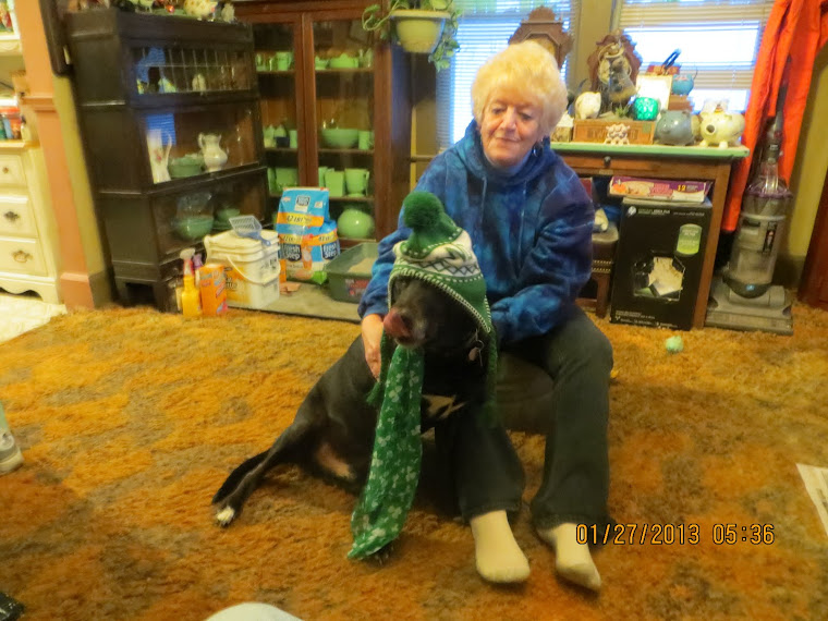 My dog Buddy L getting his new Irish hat and scarf fitted by the fitter Sisaroo Archer.