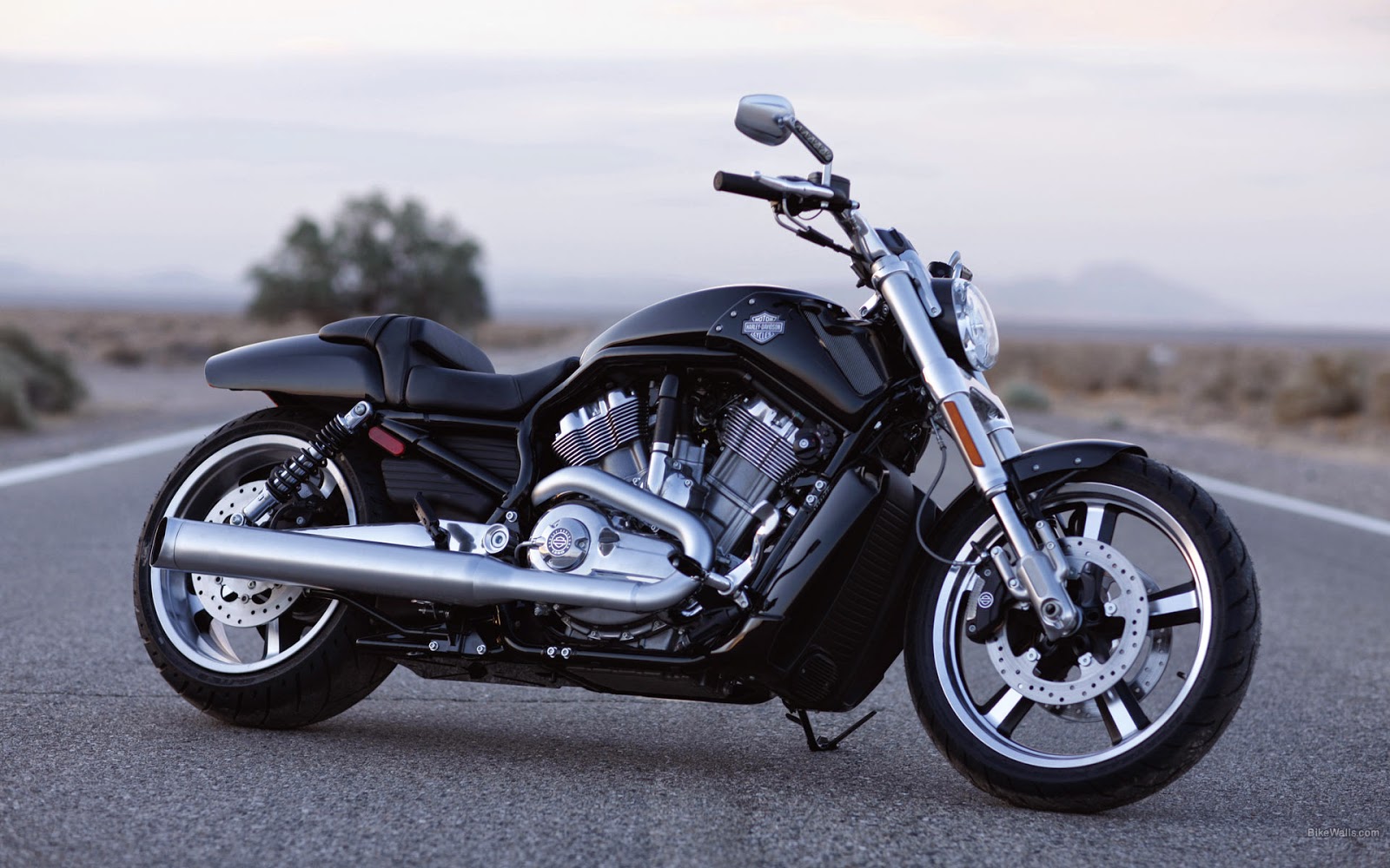 2012 Harley Davidson   v rod vrod vrsc  owners manual 