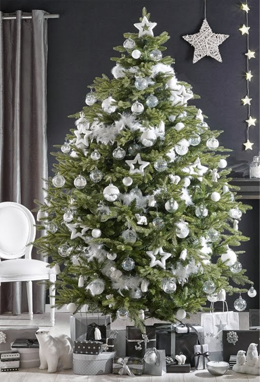 Donne In Blog E Tu Che Tipo Di Albero Sei D