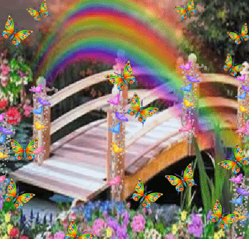 Rainbow Butterfly Bridge