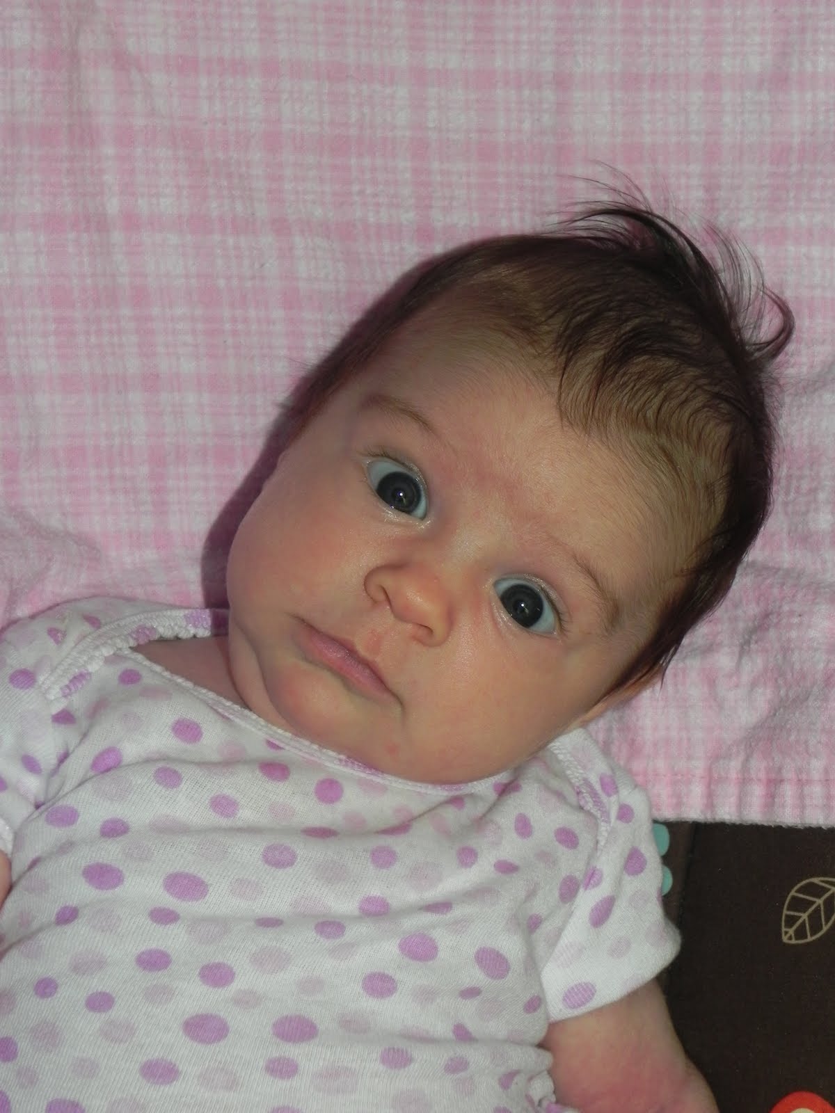 Margaret Easter's Instagram, Twitter & Facebook on IDCrawl