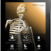 Visible Body Skeleton Premium v2 0 0 For PC Free Dpownload