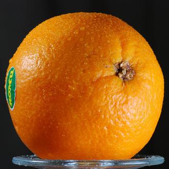 FactsnFunny: Orange