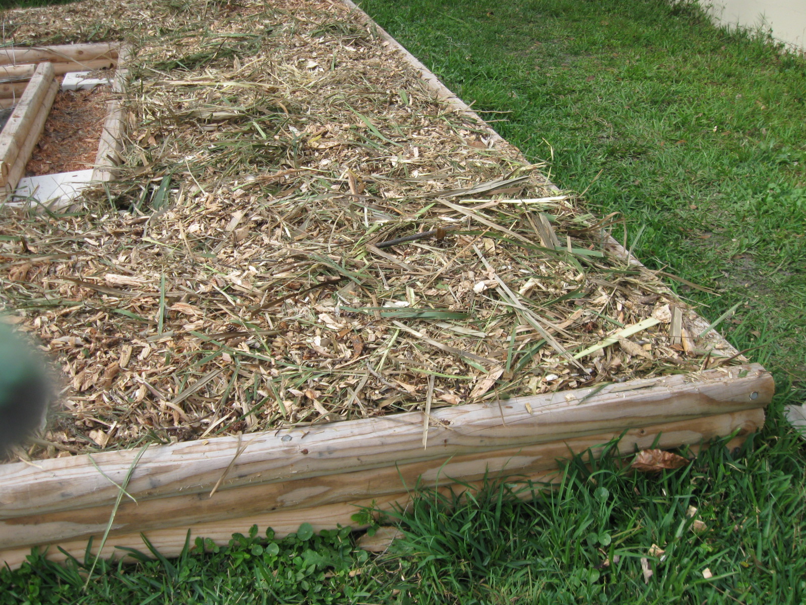 Growing Food in Florida Planting Vegetables in Wood Chips