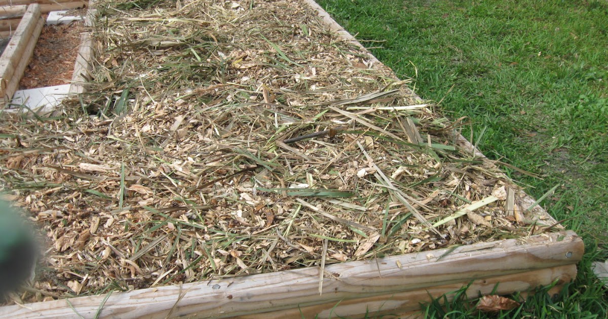 Growing Food in Florida: Planting Vegetables in Wood Chips