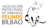 GATOS EN ADOPCIÓN