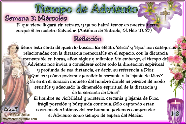 Imágenes de Cecill Tercera Semana de Adviento