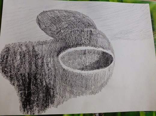 Apfelkuchen Cosinus Und Farbenpracht Hell Dunkel Zeichnen