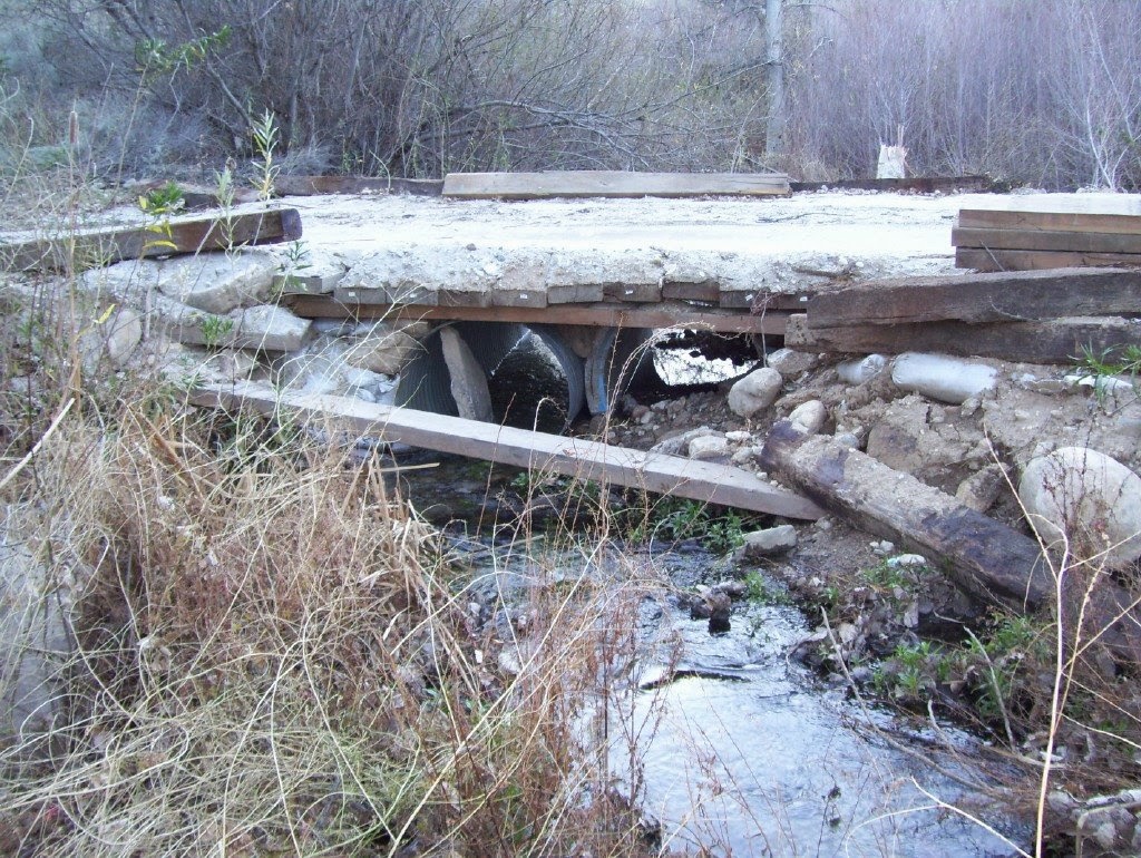 Save Briggs Road! Which Crossing is Okay?