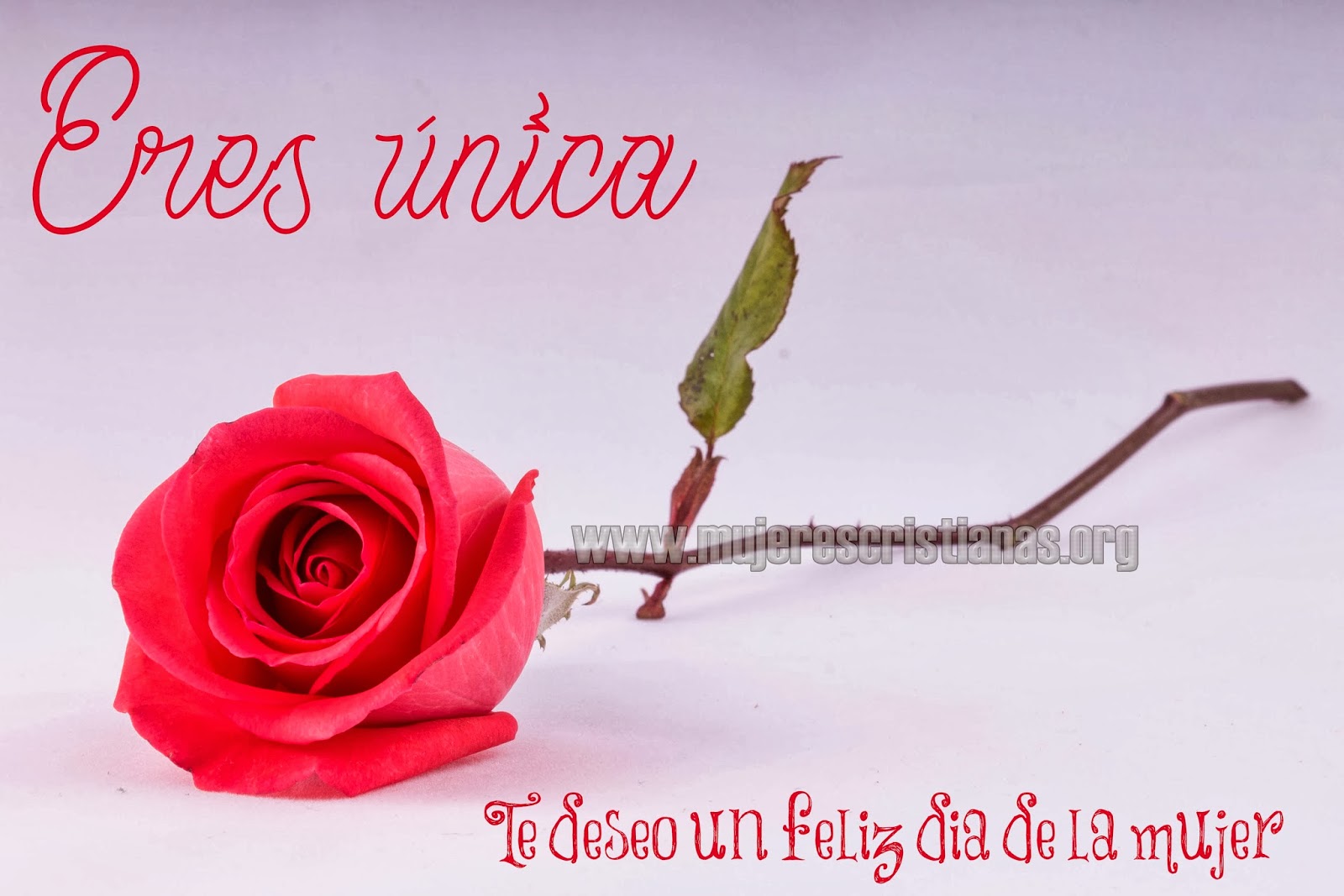 Eres única