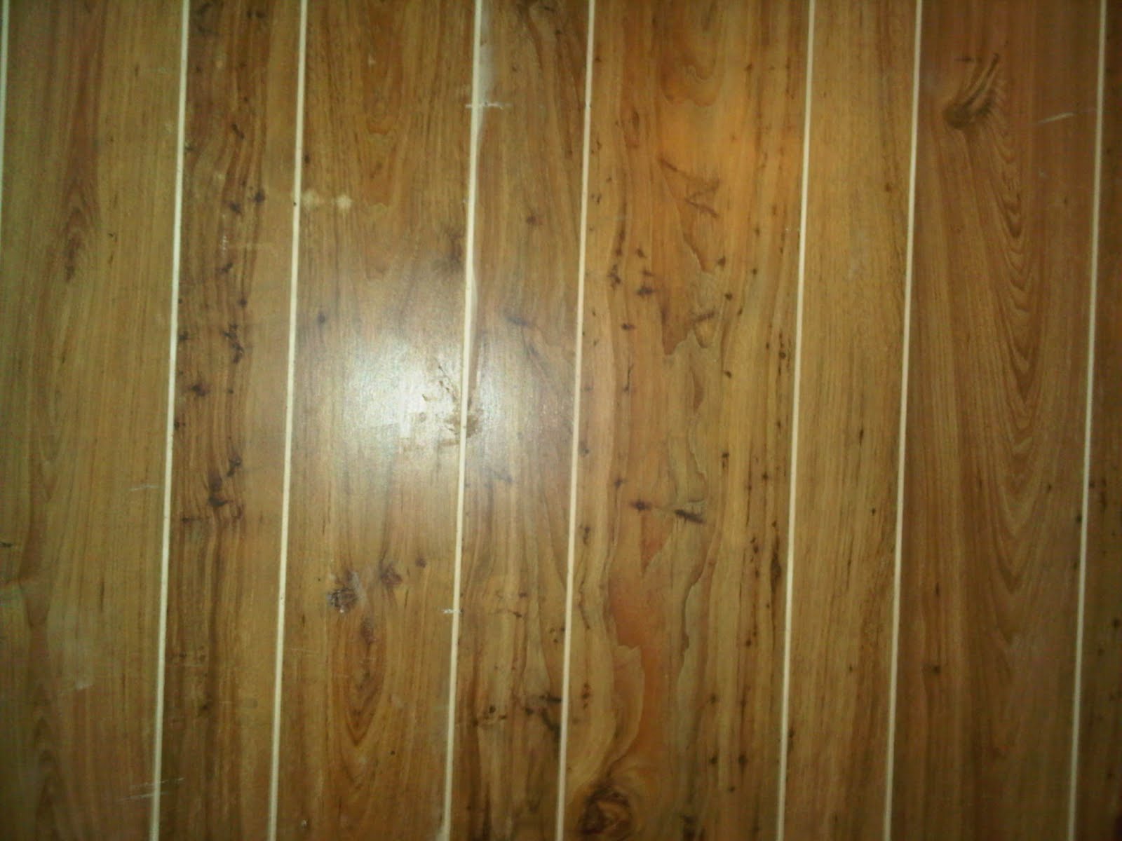 My Pickled Perspective it's just so dark and panelly....