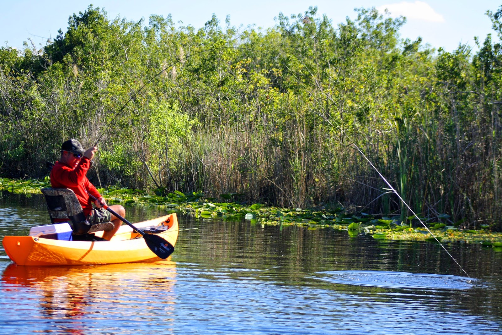 Southern Kayak Kronicles Fly Fishing in The Everglades along Alligator