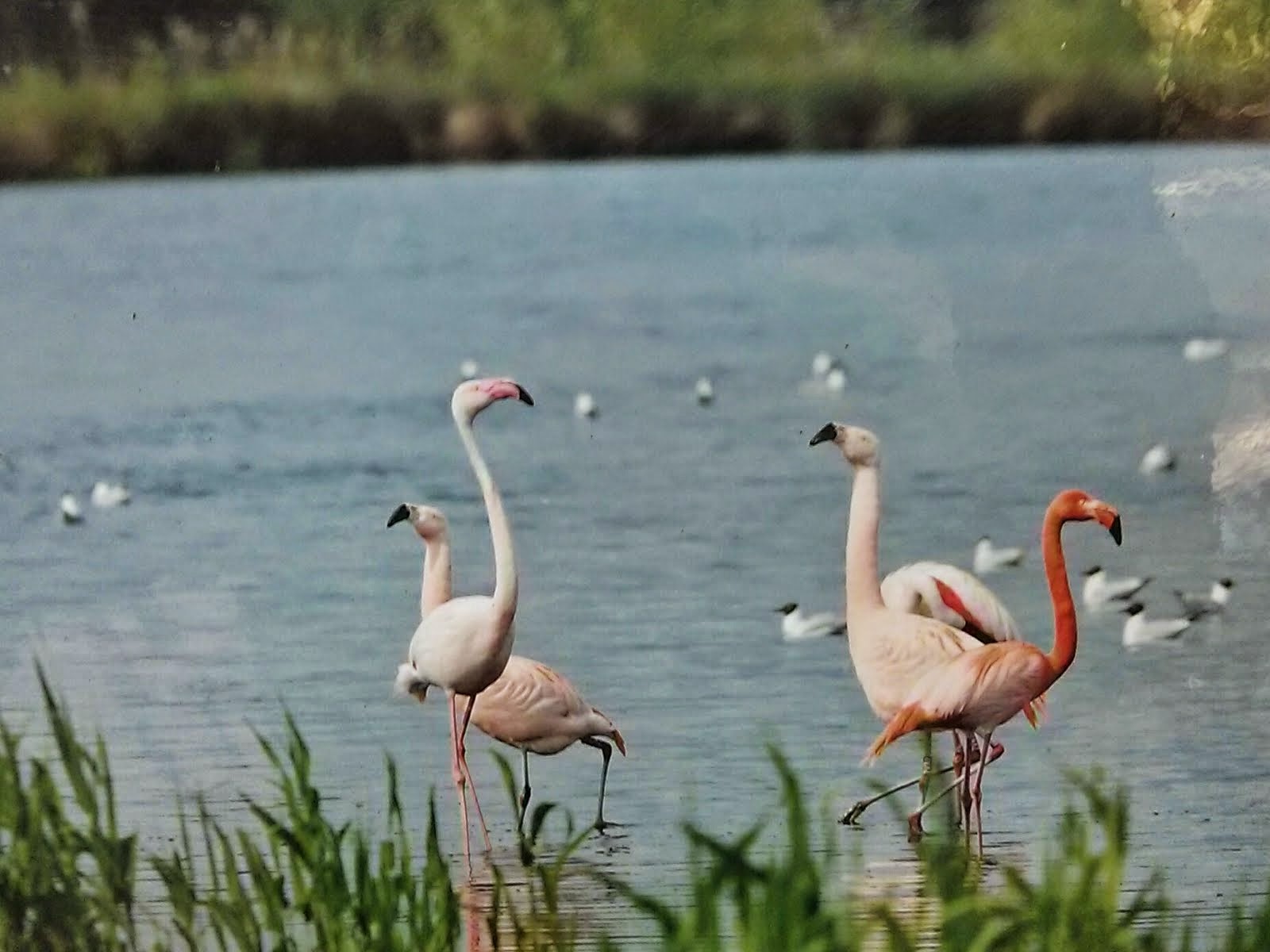 Created At 2016 11 30 21 02