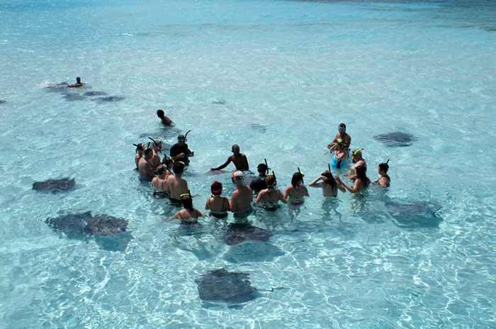 Cayman Island Food Tour Cayman Island Food Tour