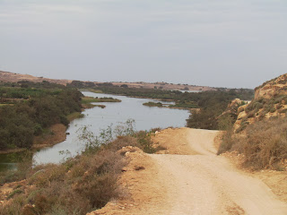 Met een beetje geluk belanden we tegen de schemering bij een ingang van het park in Sidi Benzarne.