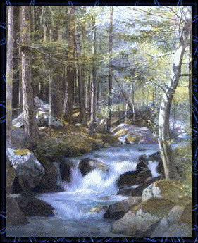 resimlerin dunyasi hareketli doga resimleri