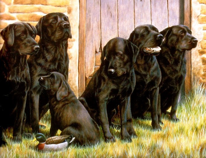 online veilinghuis catawiki henri henry schouten 1857 1927