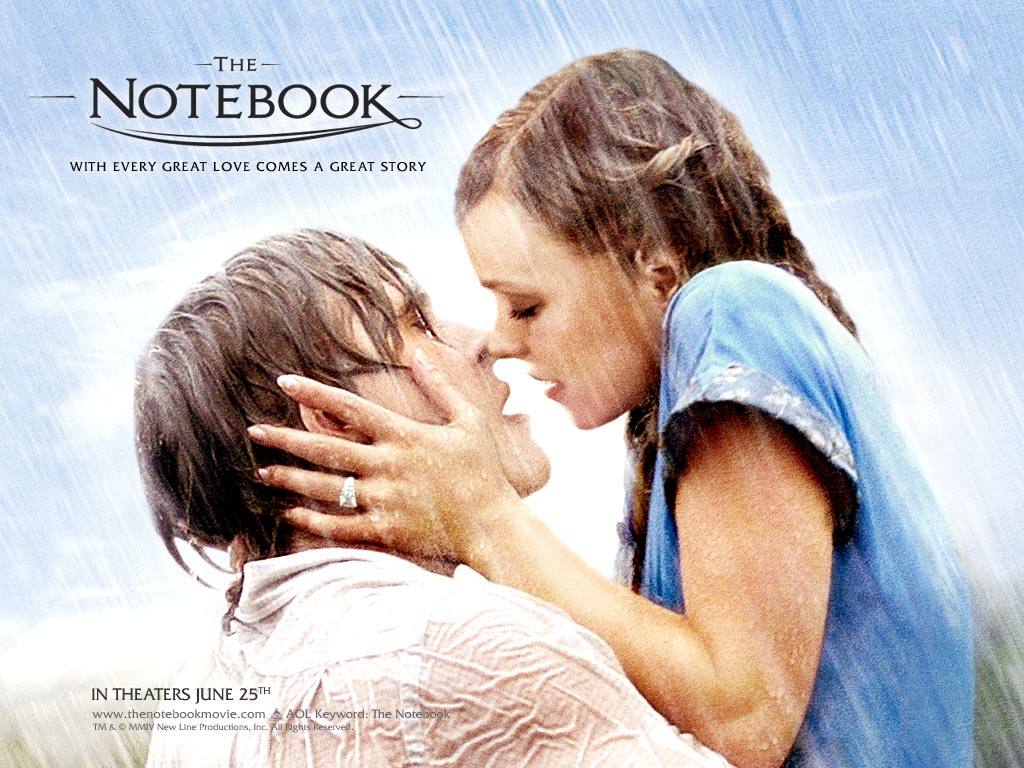 უბის წიგნაკი / The Notebook