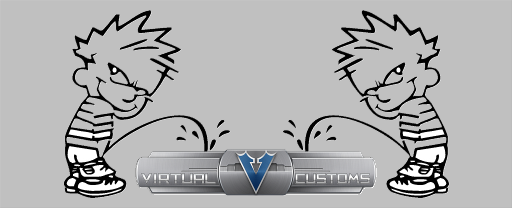 What Is VirtualCustoms