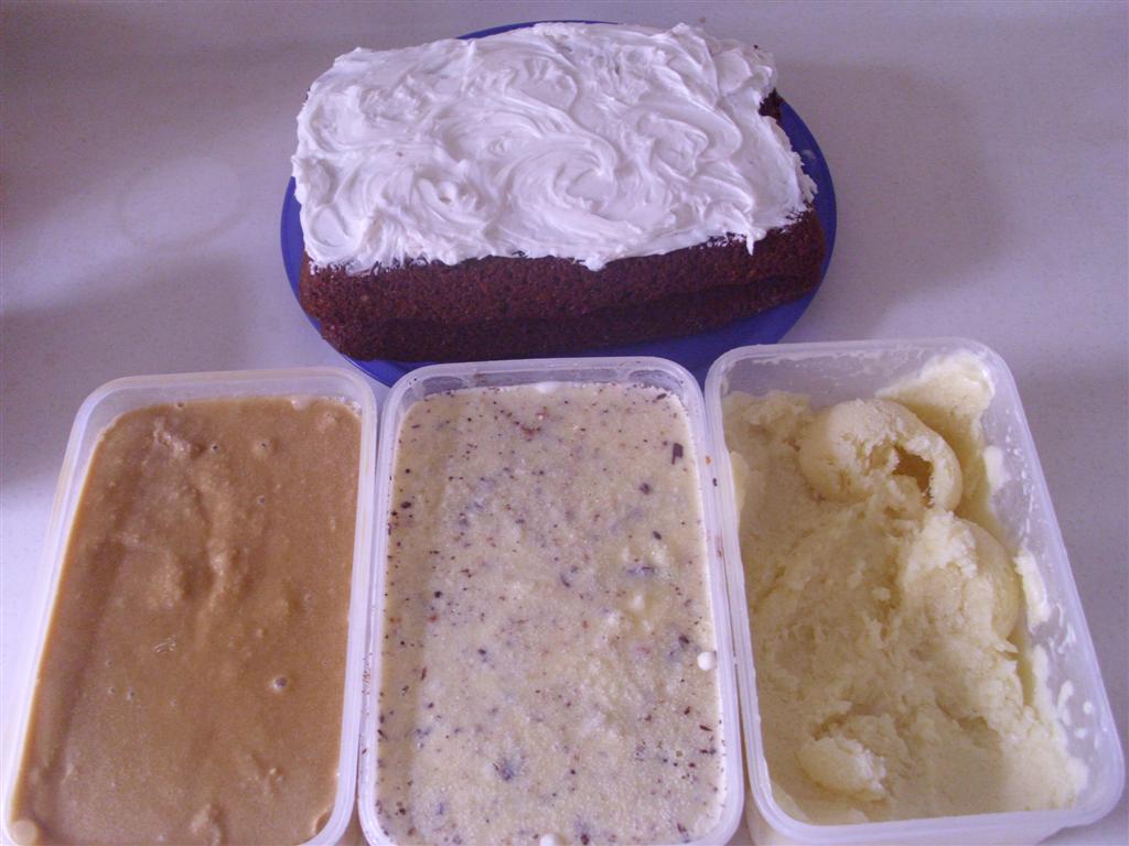 The DoItYourself Mom DIY Ice Cream Recipes