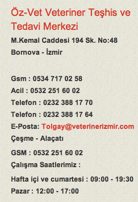 Tawsi Nin Dunyasi Acil