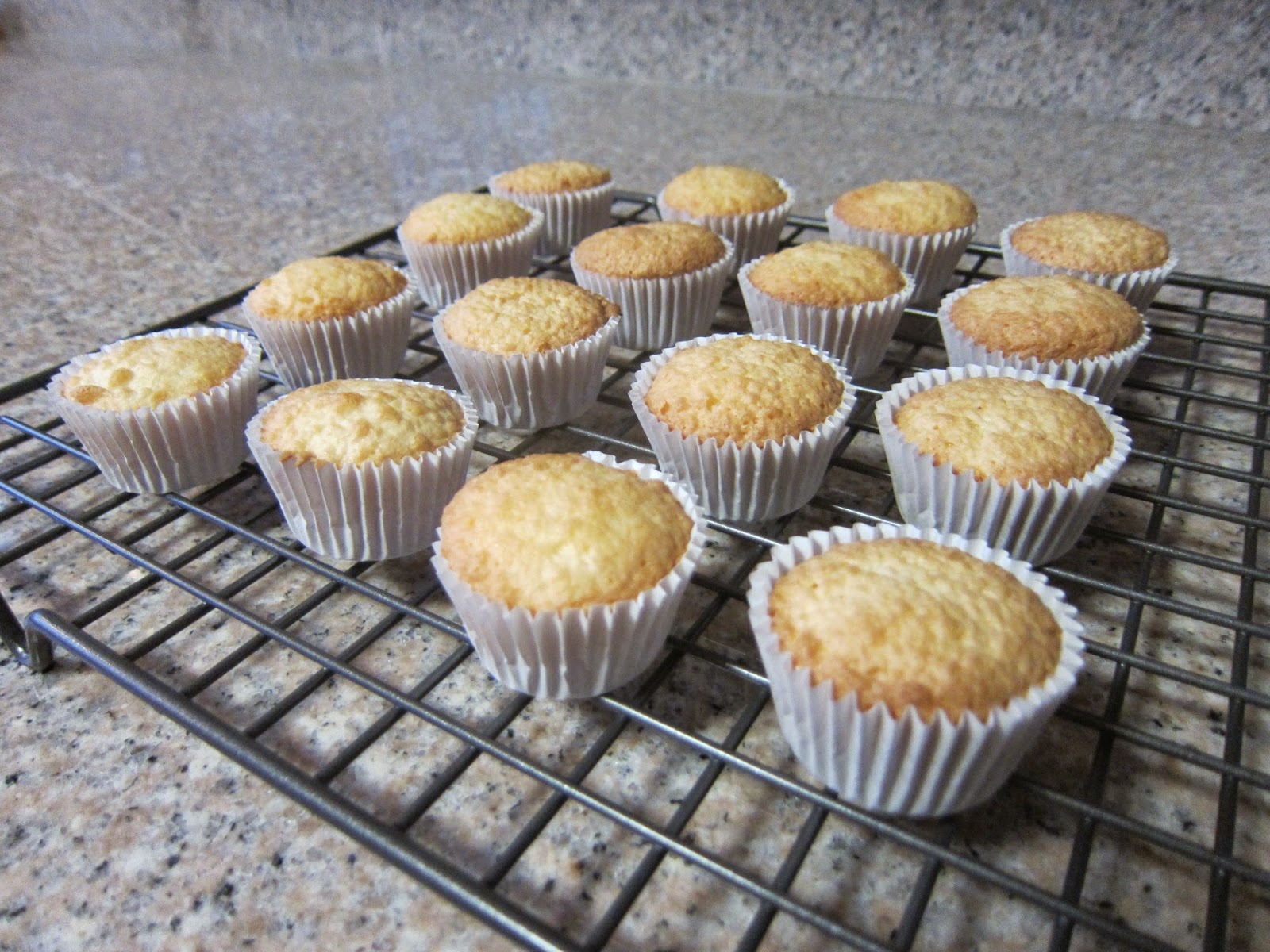 On The Tart Side Angel Food Cupcakes 2 Ways with 1 Box of Mix!