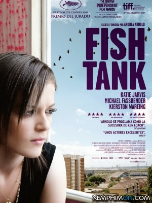 Câu Truyện Về Mia - Fish Tank Câu Truyện Về Mia - Fish Tank