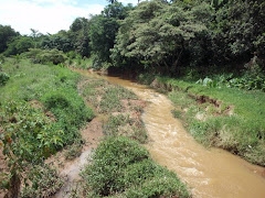 Programa de Revitalização do Córrego Rico