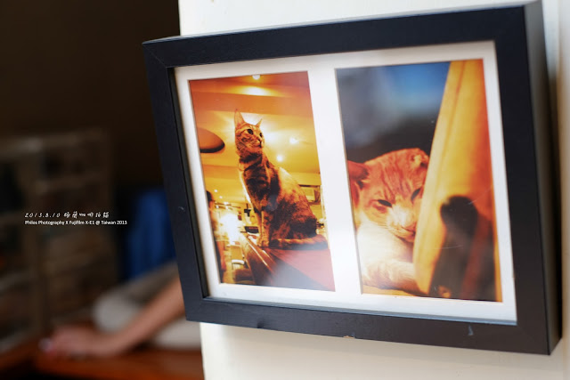 [台北] 極簡咖啡拍貓