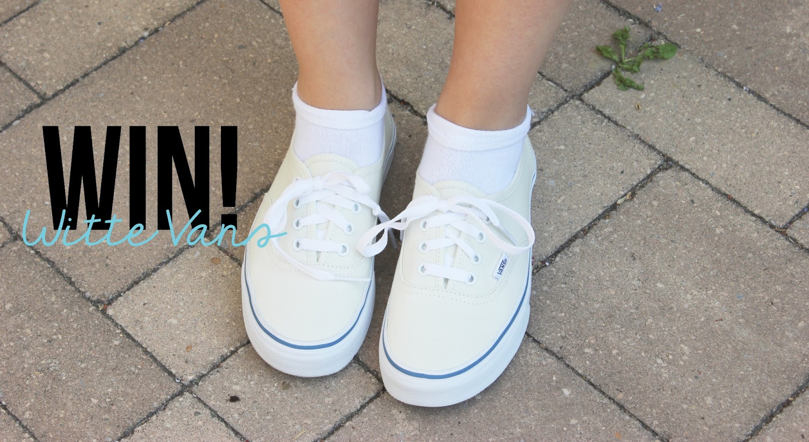 vans schoenen ijsjes vans schoenen ijsjes