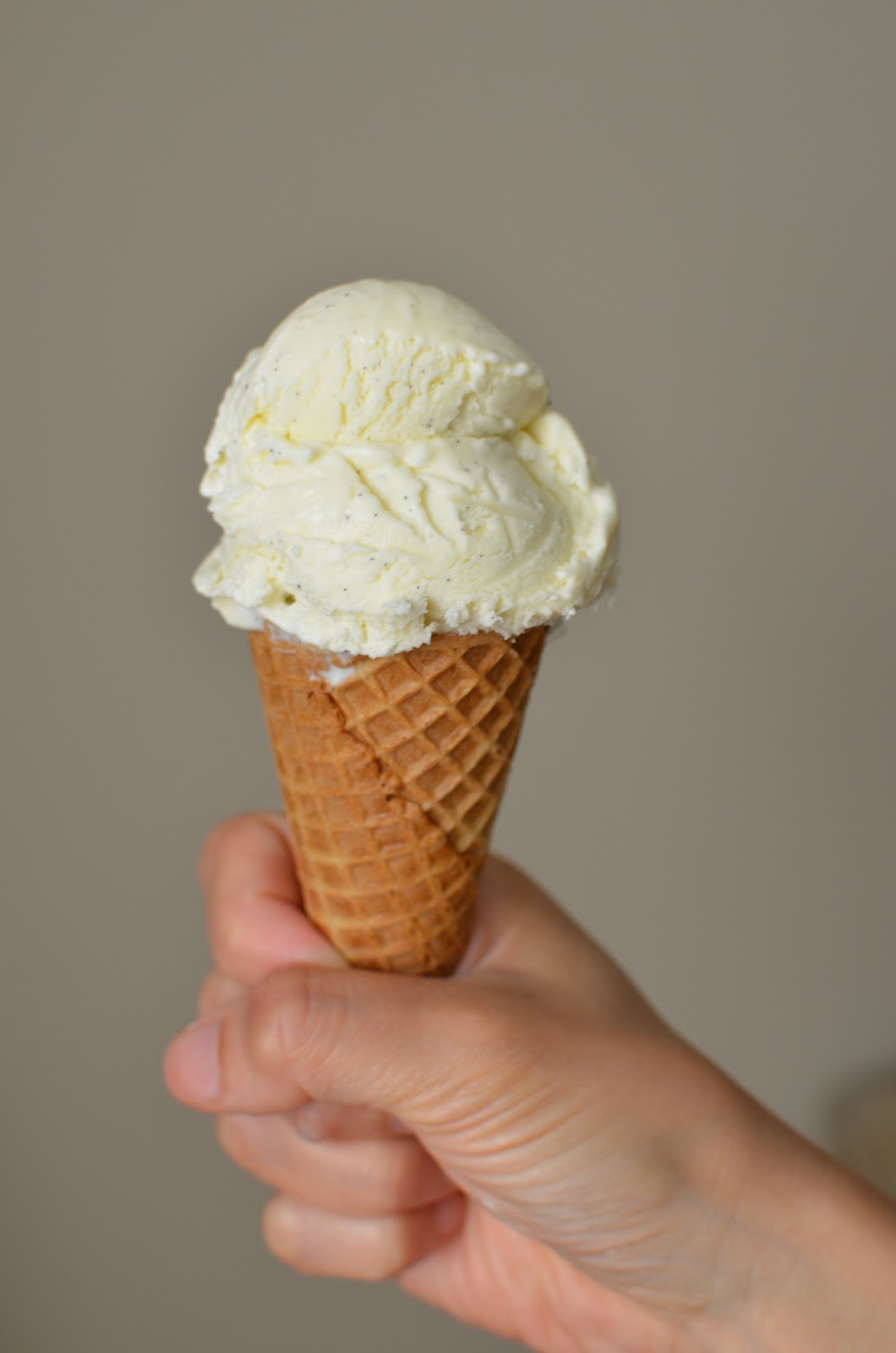 Playing with Flour Philadelphiastyle (no egg) vanilla ice cream